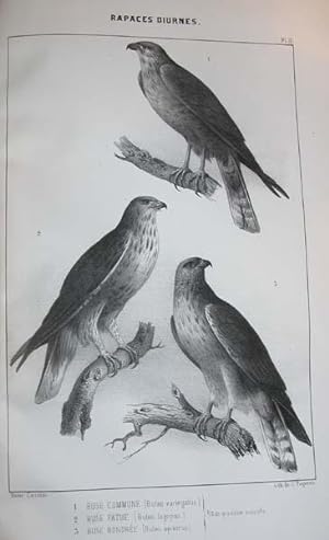 Ornithologie du Dauphiné ou Description des oiseaux observés dans les départements de l'Isère, de...