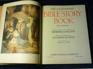 The Illustrated Bible Story Book New Testament