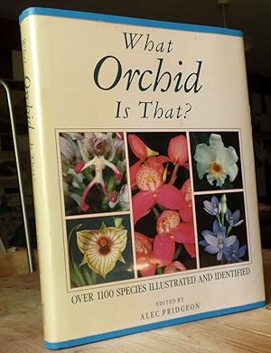What Orchid is That? (The 'what' series)