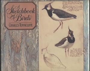 A Sketchbook of Birds