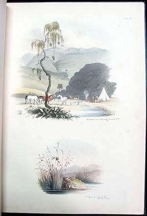 South African Sketches: Illustrative of the Wild Life of a Hunter on the Frontier of the Cape Colony