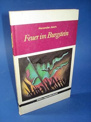 Feuer im Burgstein. Kleine Jugendbücherei.