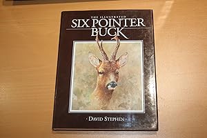 The Illustrated Six Pointer Buck