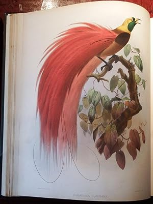 A Monograph of the Paradiseidae, or Birds of Paradise.