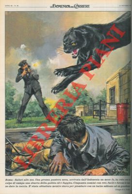 Pantera nera alla Zoo di Roma fugge dalla gabbia seminando il panico e venendo poi abbattuta.