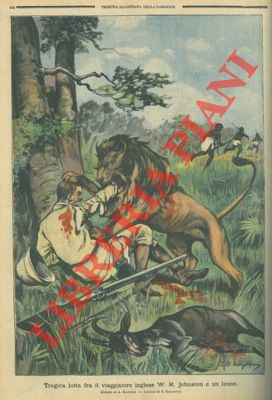 Tragica lotta fra il viaggiatore inglese W. R. Johnston e un leone.