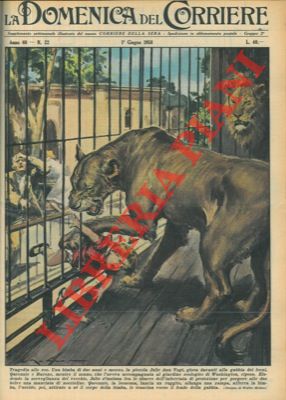 Leonessa uccide bambina allo zoo.