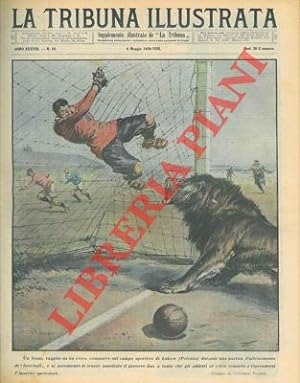 Un leone, fuggito da un circo, comparve sul campo sportivo di Lokow (Polonia) durante una partita...