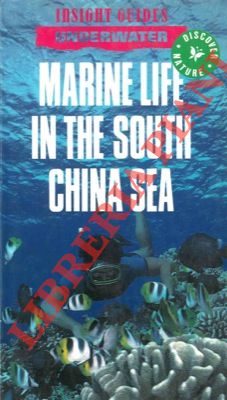 Marine life in the South China Sea.