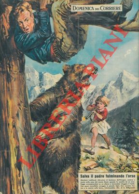 Allevatore assalito da un orso viene salvato dalla piccola figlia, che uccide la belva.