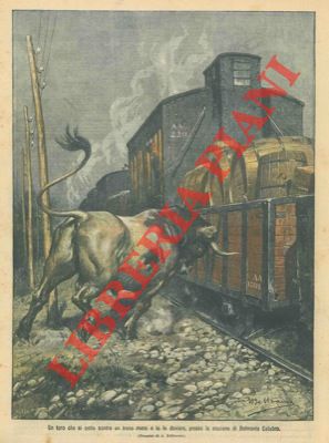 Un toro si getta contro un treno merci e lo fa deviare, presso la stazione di Belmonte Calabro.