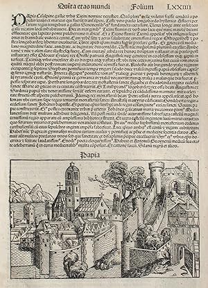 Pavia, Italy in the Liber chronicarum- Nuremberg Chronicle, an individual page from the Chronicle...