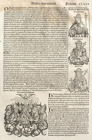 Liber chronicarum- Nuremberg Chronicle, an individual page from the Chronicle featuring descripti...