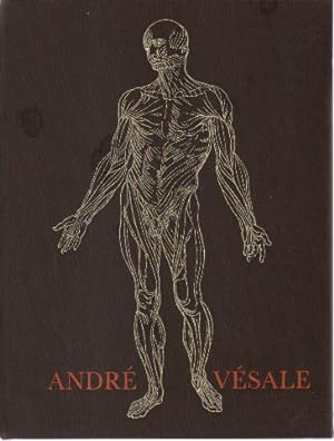 Iconographie anatomique