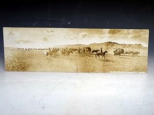 Original Photograph Postcard--Long X Roundup