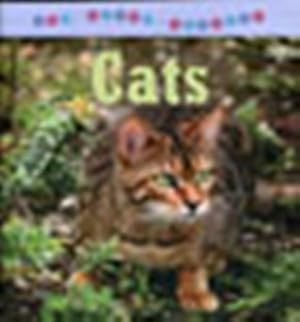 Cats (All About Animals)