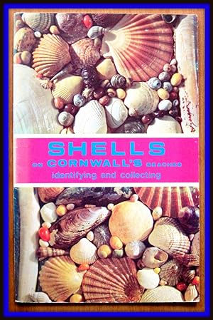 Shells of Cornwall's Beaches. Identifying and Collecting