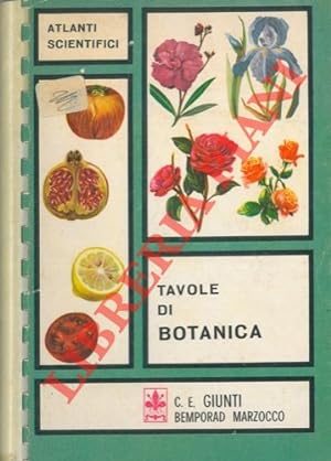 Tavole di botanica.