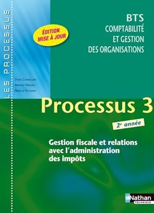 LES PROCESSUS 3 ; processus 3 ; 2e année ; BTS comptabilité et gestion des organisation (édition ...