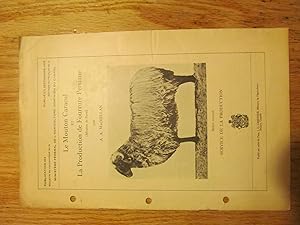 Le mouton caracul et la production de fourrure persiane