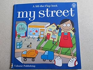 My Street (Young Geography. Lift the Flap Book )
