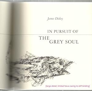 In Pursuit of the Grey Soul