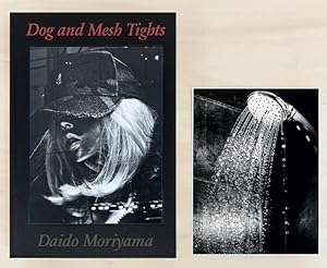 Daido Moriyama: Dog and Mesh Tights, Limited Edition (with Print Version A) [SIGNED]