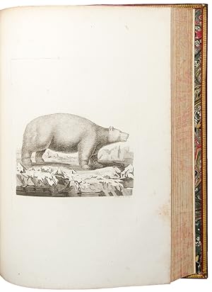 [Large paper proof impressions of the plates from his History of Quadrupeds]