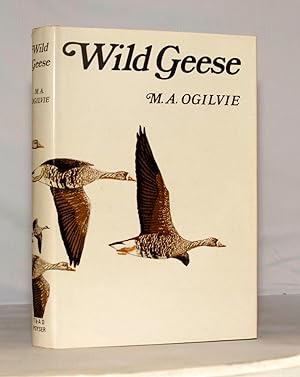 Wild Geese.