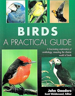 Birds : A Practical Guide : a Fascinating Exploration Of Ornithology , Revealing The Diverse Worl...