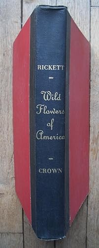 WILD FLOWERS of AMERICA