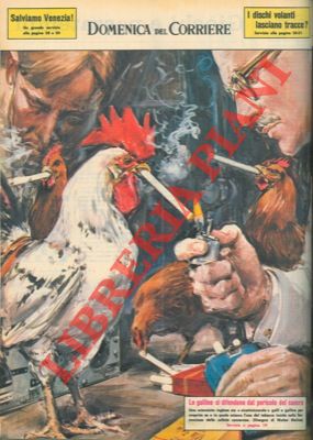 Scienziato "nicotizza" galli e galline per scoprire se l'uso del tabacco incide sulla formazione ...