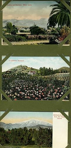 6 Unused Color Postcards, Pasadena California