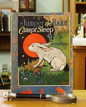 Jumper The Hare Cannot Sleep