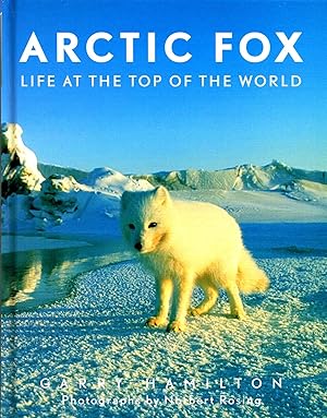 Arctic Fox : Life At The Top Of The World :
