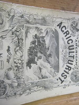 American Agriculturist, for the Farm, Garden & Household. December, 1876 Vol. XXXV Number 12