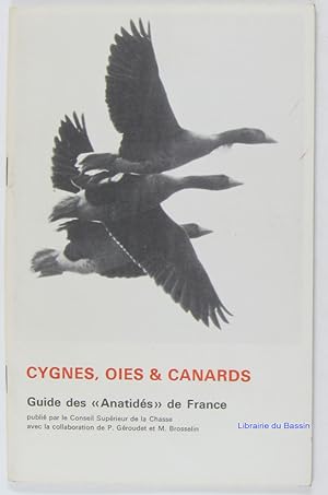 Cygnes, oies & canards