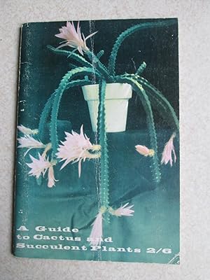 A Guide to Cactus and Succulent Plants