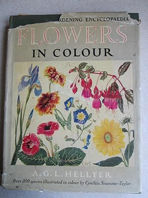Flowers In Colour - An Amateur Gardening Encyclopaedia