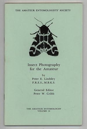 Insect Photography for the Amateur