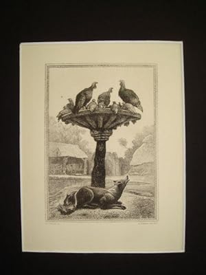 La Fontaine, fables, Le renard et les poulets d'Inde. Gravure originale à l'Eau Forte sur papier ...