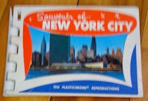 Souvenir of New York City: ten plastichrome reproductions