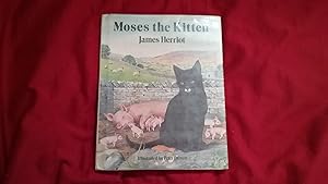 Moses the Kitten