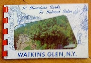 Watkins Glen, N. Y.: 10 Miniature Cards in Natural Color