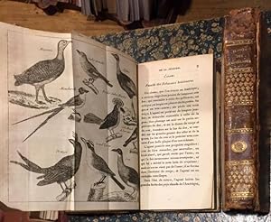 Le Buffon des Demoiselles, contenant lhistoire générale des oiseaux et lhistoire naturelle des ...