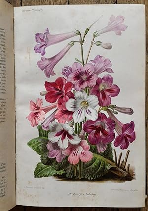 la REVUE HORTICOLE - Journal d'Horticulture pratique - année 1896 complète en 12 livraisons
