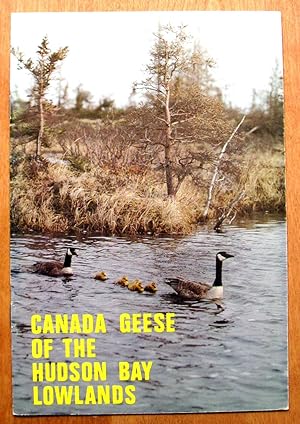 Canada Geese of the Hudson Bay Lowlands