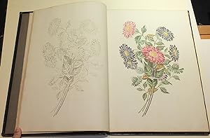 Groups of Flowers, Drawn and Accurately Coloured after Nature, with Full Directions for the Young...