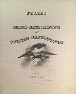 Plates to Selby's Illustrations of British Ornithology.