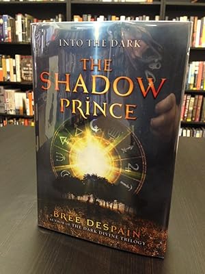 Into the Dark The Shadow Prince